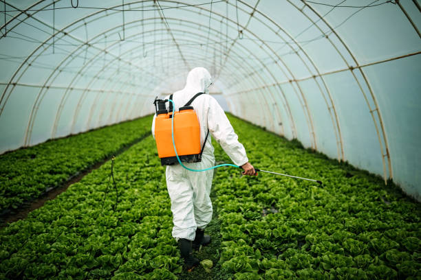 Best Affordable Pest Control Services  in Chamblee, GA