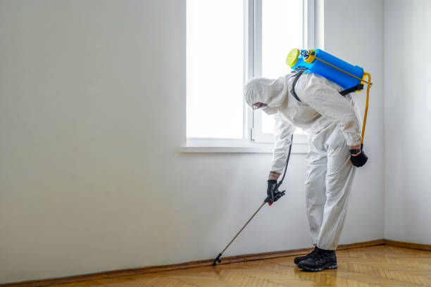 Wasp Removal Services in Chamblee, GA