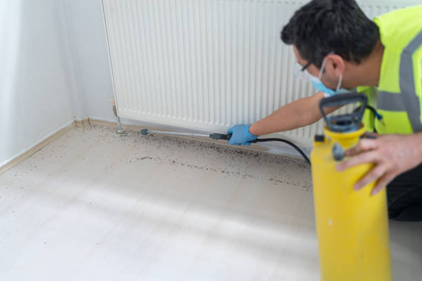 Best Emergency Pest Control  in Chamblee, GA