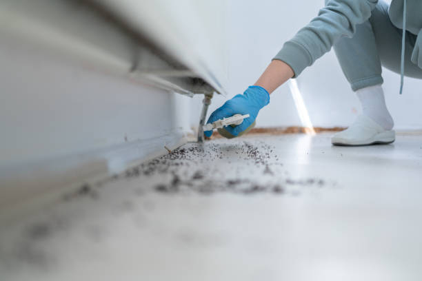 Best Pest Prevention Services  in Chamblee, GA