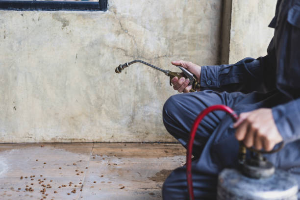 Professional Pest Control in Chamblee, GA